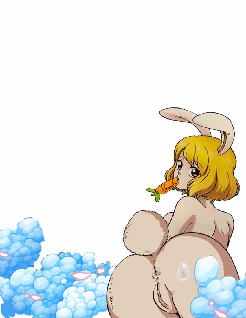Carrot want to fuck 💦 💦 💦 💦 @ophentai330 🅾 ️ne 🅿 ️iece Hentai 🔞.