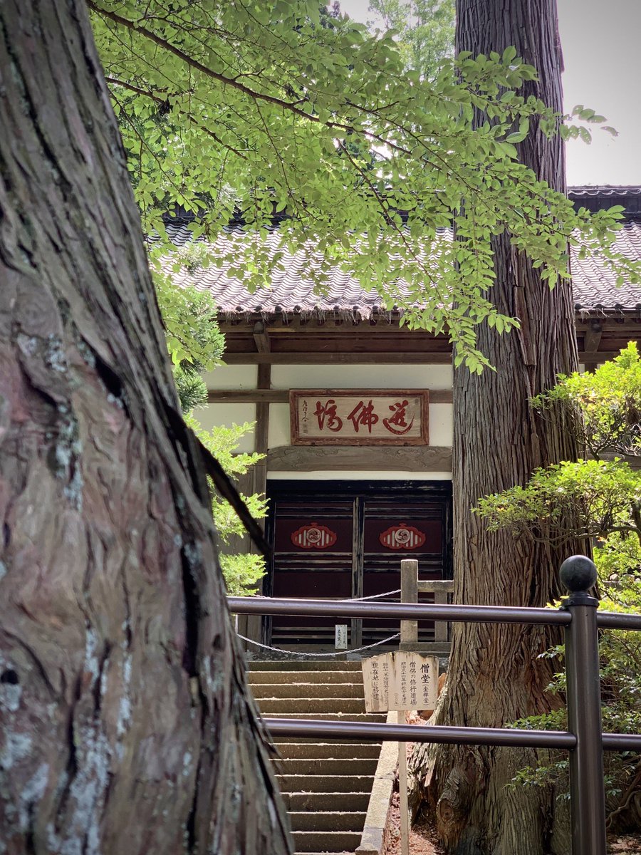 heyitssharla's tweet photo. I love wandering through countryside towns in the summer and stumbling across hidden temples👌🏻  

📍Tsuruoka, Yamagata https://t.co/A1QbD6AVVF
