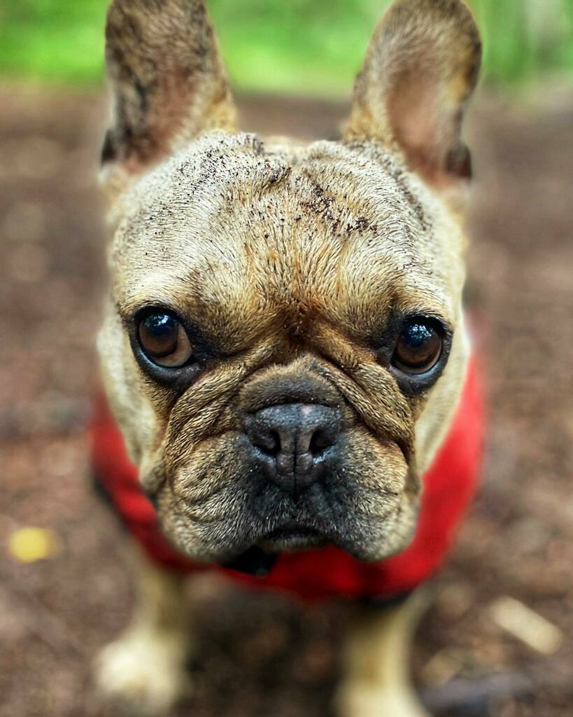 Stephen Rush tweet media