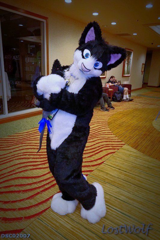 LostWolf321's tweet photo. It's @traxswe @rainfurrest #RF2015 https://t.co/wcwP1slDNH