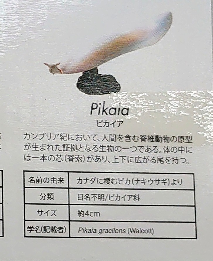 宮本牛乳 これが人間の祖先 って信じたくないですね