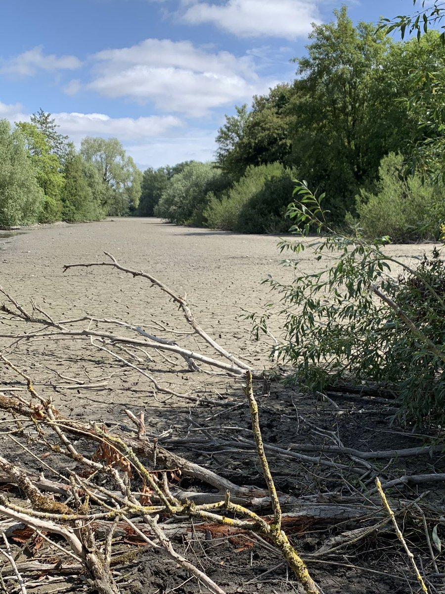 alibenbournane's tweet photo. à #Wavrin les pêcheurs ont dû changer leurs habitudes en raison de la sécheresse @F3nord reportage ce soir à 19h JT @simondcolaone 📺@AngeliqueSouche #hautsdefrance https://t.co/ETnfd3Ba0w