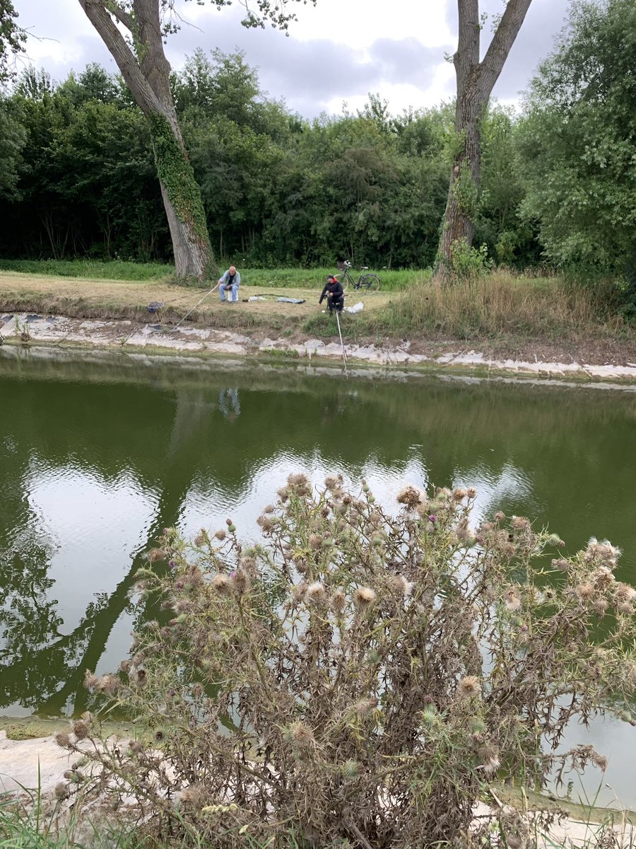 alibenbournane's tweet photo. à #Wavrin les pêcheurs ont dû changer leurs habitudes en raison de la sécheresse @F3nord reportage ce soir à 19h JT @simondcolaone 📺@AngeliqueSouche #hautsdefrance https://t.co/ETnfd3Ba0w