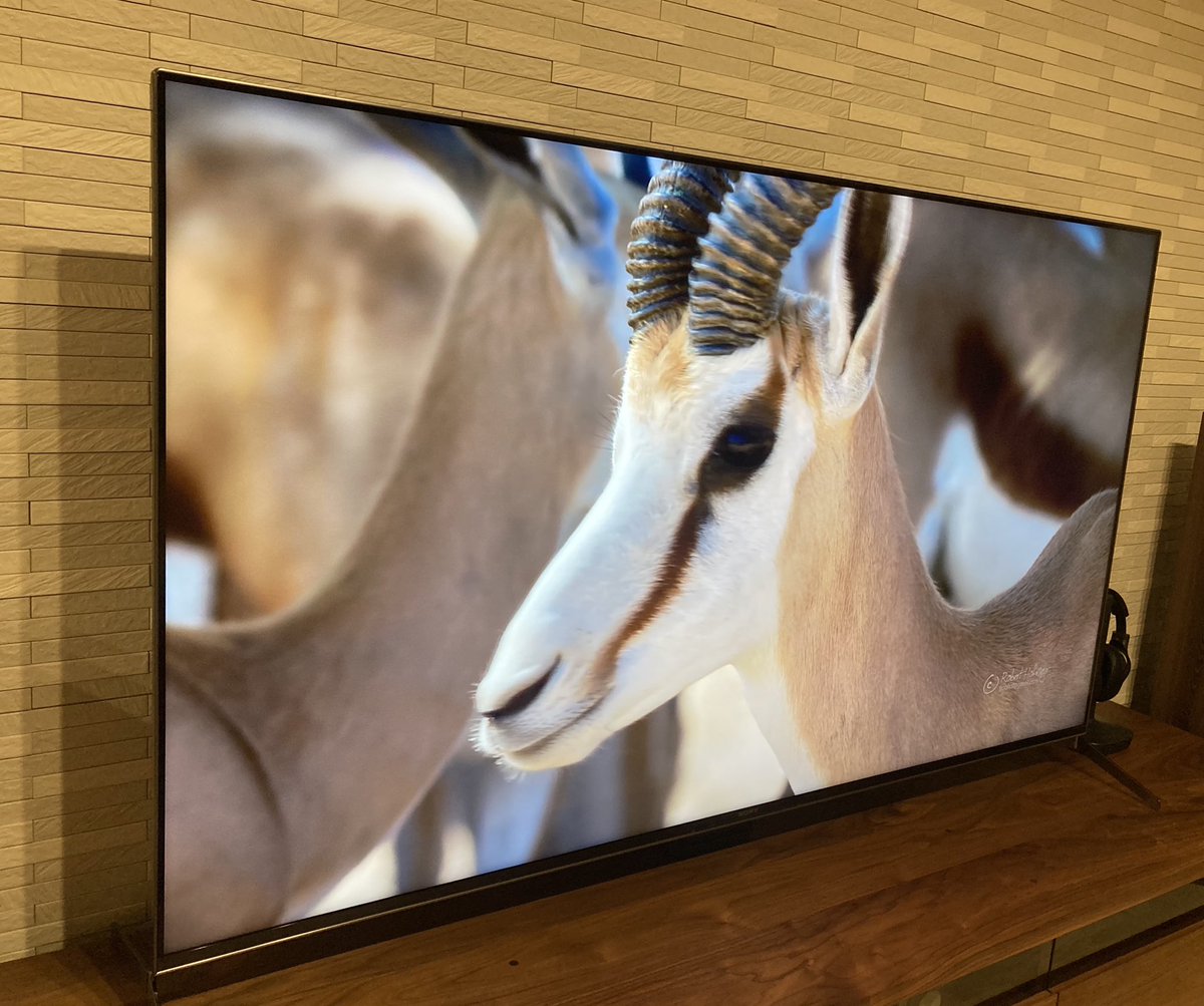 下田麻美 新しいテレビがやってきました 4kすごい これでようやくテレビなし生活から脱却です 半沢直樹第一話に間に合うぞぉ 前回シリーズはtverで観られました 下田麻美 新しいテレビがやってきました 4kすごい これでようやくテレビなし生活から脱却です 半沢直樹第一話に間に合うぞぉ 前回シリーズはtverで観られました