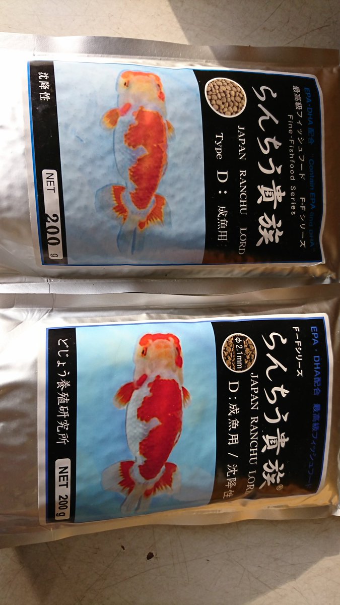 らんちう貴族
