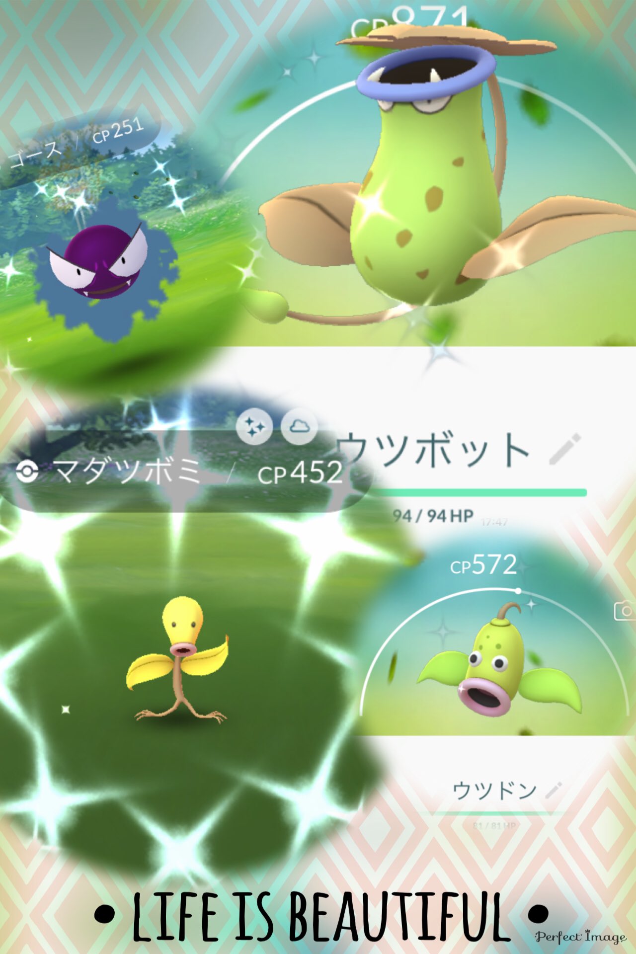 色違いウツドン Twitter Search Twitter