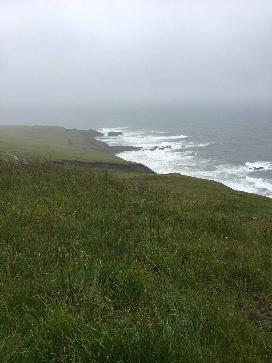 Maggiemustoe81's tweet photo. Beautiful drive with new friends in Iceland! I am happy for all that I have and the freedom to full on enjoy life. #life #travel #gypsy #iceland #Beautiful #lovemylife #Europe https://t.co/mqABHteOCW