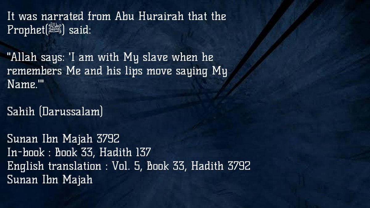 Islamophilia tweet media