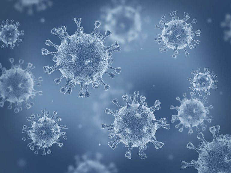 JonaElisOwen's tweet photo. Pandemic                           Pamdemic https://t.co/bOWAvER7TA