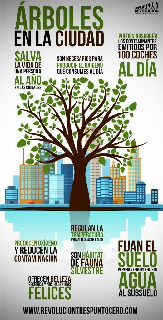 Las grandes ventajas de los arboles en las cuidades