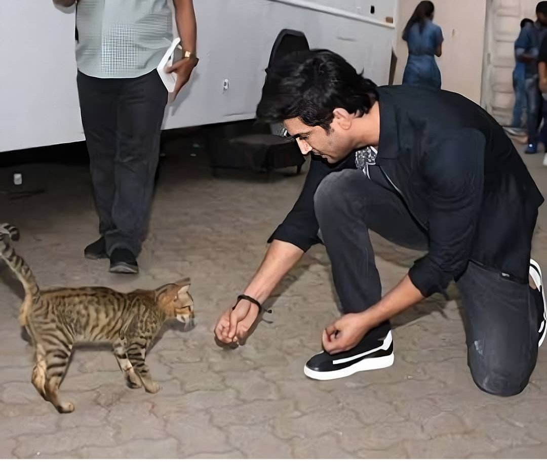 just_SSR's tweet image. #WorldWantsCBIForSSR #onlycbiforssr #ImmediateCBIForSSR #wearewithussr #IndiaWithDrSwamyForSSR #BreakTheSilenceForSSR #NoCBINoVote #CBIMustForSushantSinghRajput #PublicDemandCBIEnquiryForSSR #BoycottBollywoodNepotism #PMModiCBIForSSR #SushantInOurHeartsForever