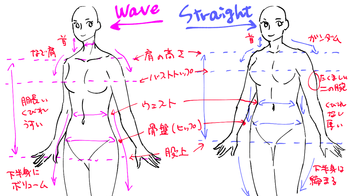 上半身比較と
数少ない骨スト勝利例 