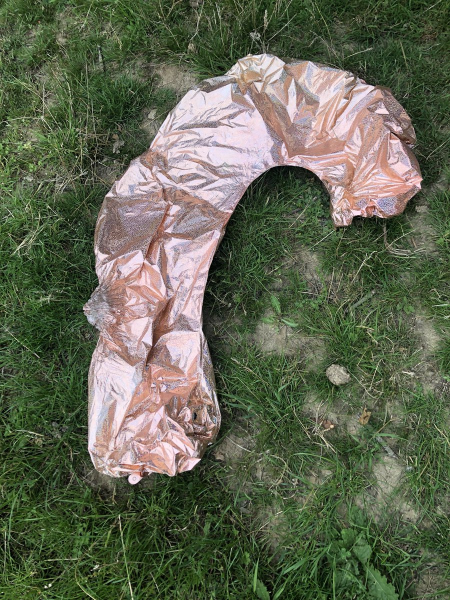 Defenderdriver7's tweet image. Pulled this out of a cows mouth this morning. 😡