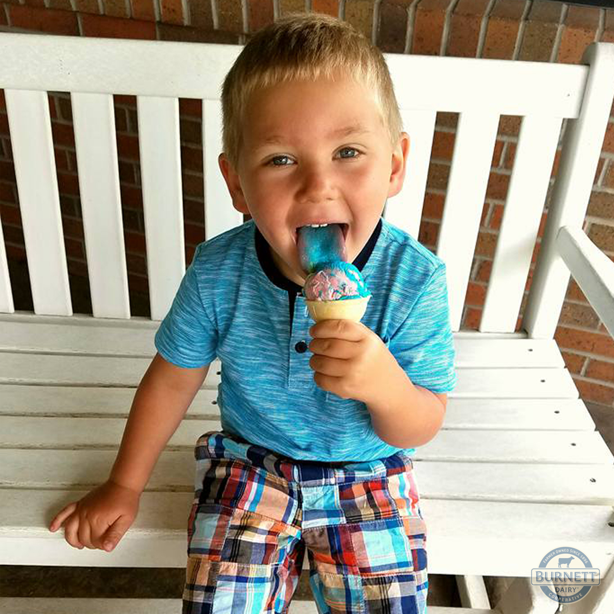 Remember to grab a scoop or two for National Ice Cream Day! Today's flavors are: Road Trip Wisconsin, Firecracker, Superman, Blue Angel, Raspberry Waffle Cone, Maple Nut, Jamocha Joe, and Tropical Storm. Frozen Yogurt: Raspberry and Vanilla. Soft Serve: Chocolate and  Vanilla. 🍦