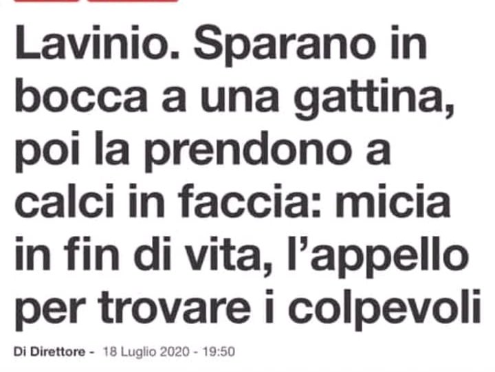 riky7372's tweet photo. Ringrazio l’amico, fratello attivista @dark_side_of per questo stupendo post con il quale mi trovo assolutamente d’accordo.
È ora di agire!
https://t.co/I6TfiBKCeu https://t.co/RvAuIegLkL
