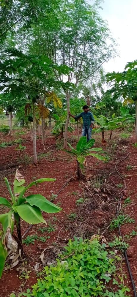 DadapeerRyss's tweet photo. Meet Chandra, NFF at Uyyalawada village who believes that, to become a farmer there no limitations except that you associate with nature.From input preparation to harvest period,he gives utmost attention to d plants in his #5layermodel An active member in all @APZBNF activities https://t.co/xn6g95Zc1s