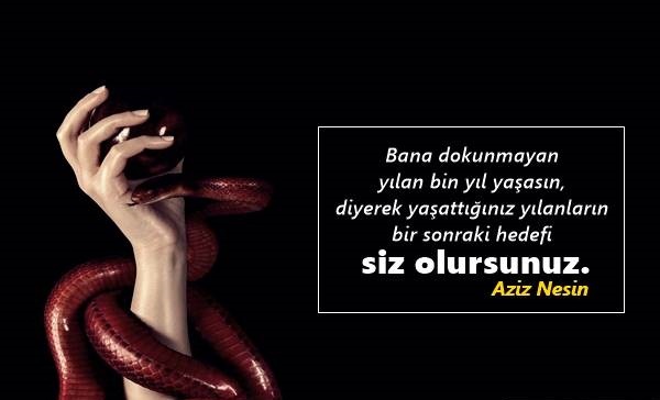 Yılan İle İlgili Sözler ift.tt/3hge5oY