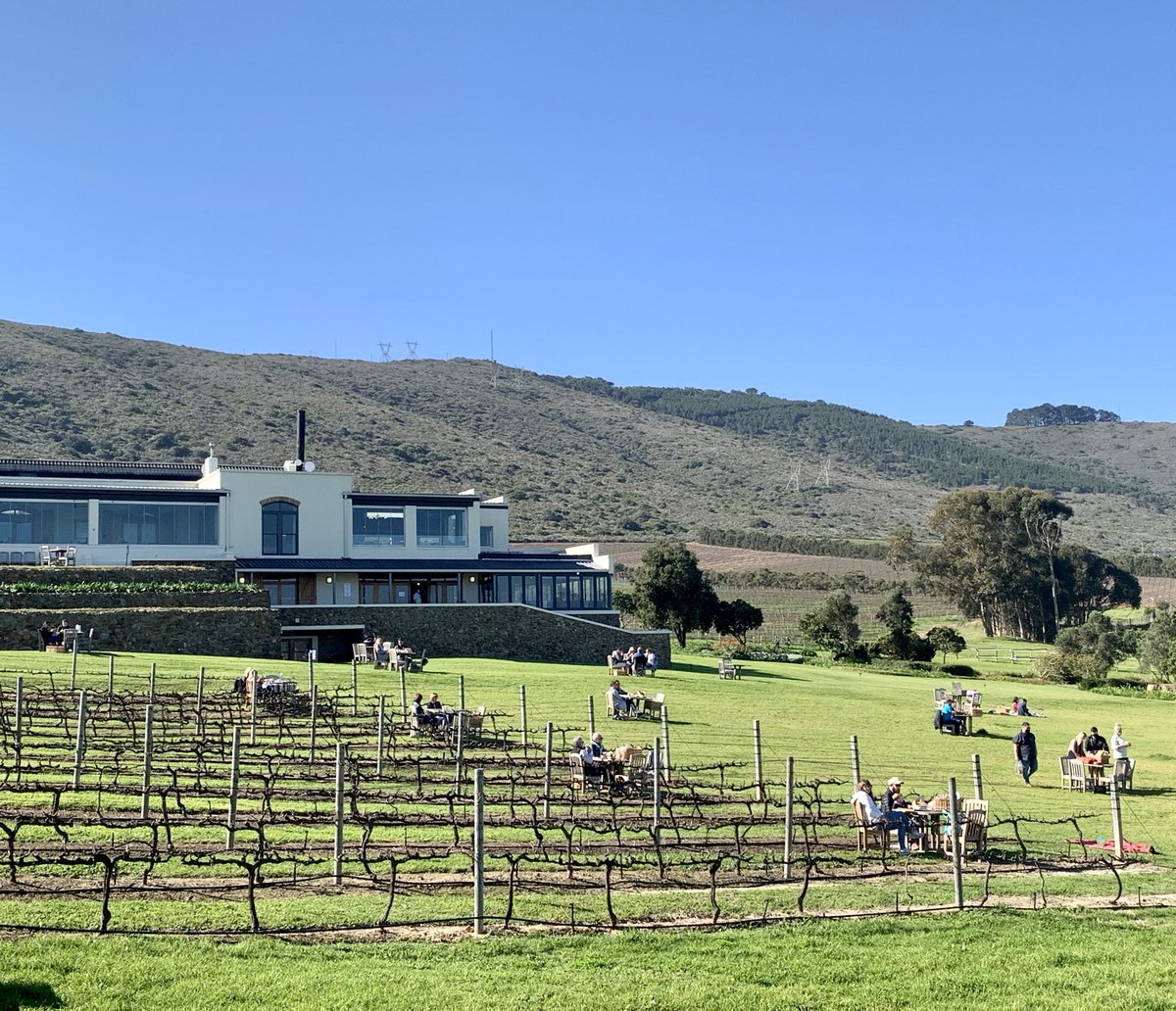dvgraaff's tweet photo. Perfect day for brunch ⁦@degrendelwines⁩ #SocialDistancing #CapeTown https://t.co/RqPMnRPIIl