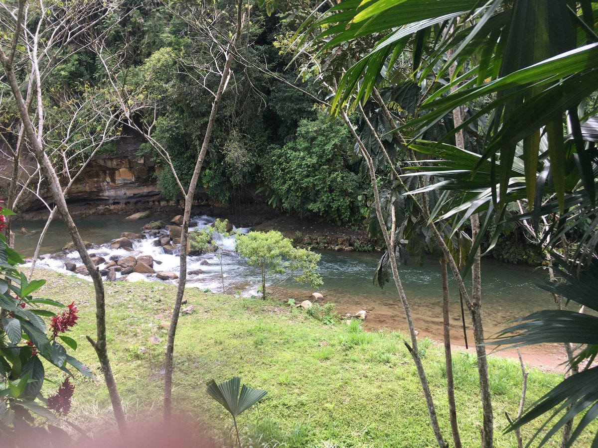 EstebanOrtizMD's tweet photo. Ecuador es un paraíso. Si nos volcáramos en serio al turismo, a la conservación, al turismo de aventura, Avistamiento de aves y demás, podríamos generar más recursos económicos que los que recibimos del petróleo.
Cuando se acabe la pandemia, viaje internamente, recorra el país.. https://t.co/PnJVYkVCv0