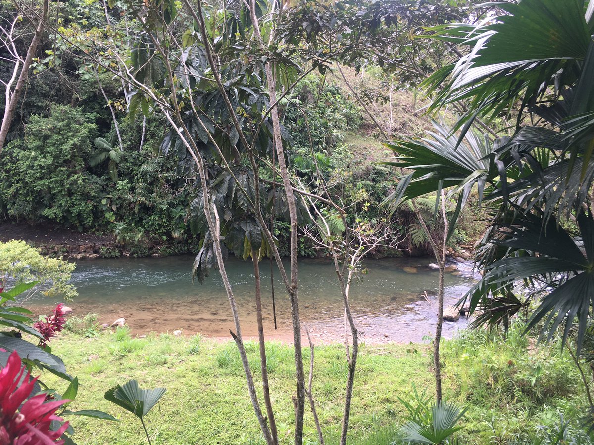 EstebanOrtizMD's tweet photo. Ecuador es un paraíso. Si nos volcáramos en serio al turismo, a la conservación, al turismo de aventura, Avistamiento de aves y demás, podríamos generar más recursos económicos que los que recibimos del petróleo.
Cuando se acabe la pandemia, viaje internamente, recorra el país.. https://t.co/PnJVYkVCv0