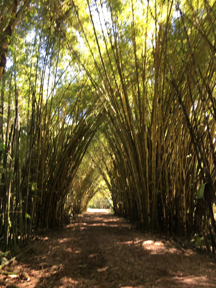 EstebanOrtizMD's tweet photo. Ecuador es un paraíso. Si nos volcáramos en serio al turismo, a la conservación, al turismo de aventura, Avistamiento de aves y demás, podríamos generar más recursos económicos que los que recibimos del petróleo.
Cuando se acabe la pandemia, viaje internamente, recorra el país.. https://t.co/PnJVYkVCv0