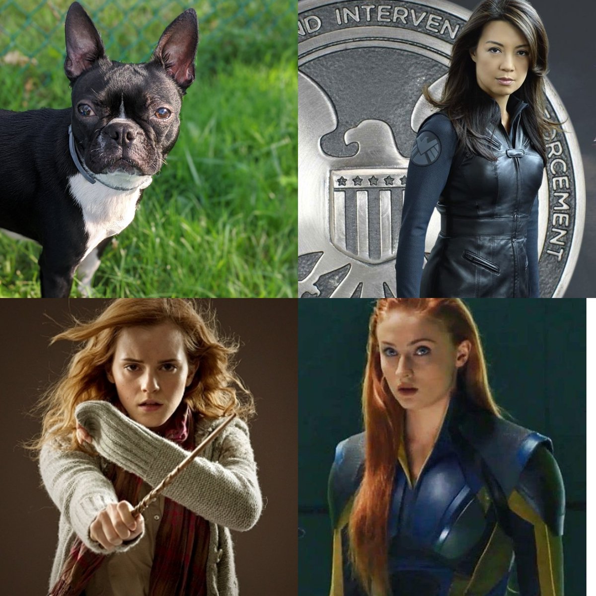 KristinKoko's tweet photo. Melinda Hermione Jean Grey May #melindamay #agentmay #AgentsofSHIELD #marvel  #mingnawen @MingNa #hermione #harrypotter #EmmaWatson @EmmaWatson #jeangrey #xmen #sophieturner  https://t.co/pRXMRkdOYq https://t.co/SOJQ8wvaYR