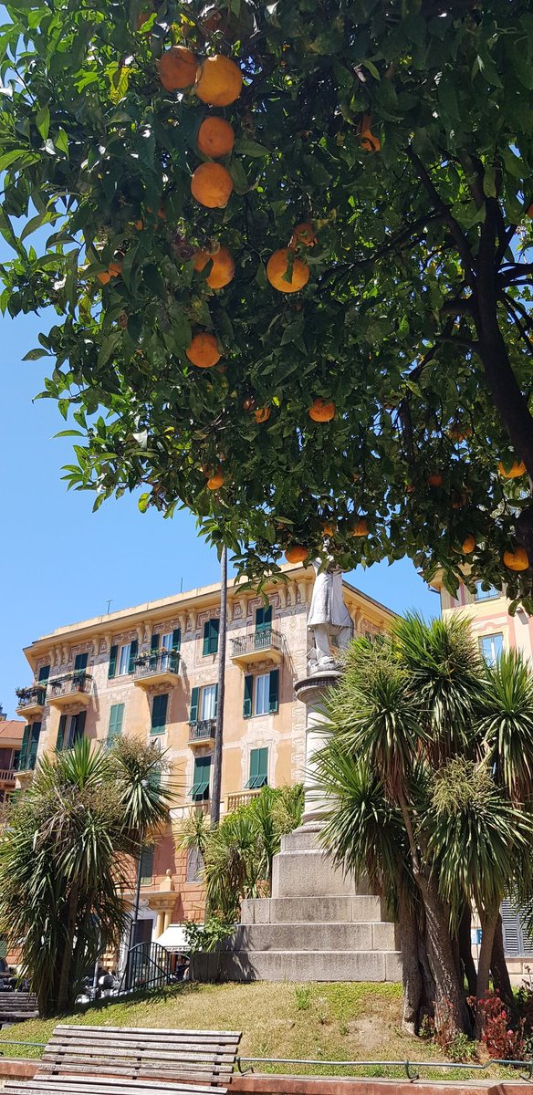 LisaLsalinger's tweet image. Sweet afternoon 2 u Tweeties ☀️🐥
#mypic #LisaS.