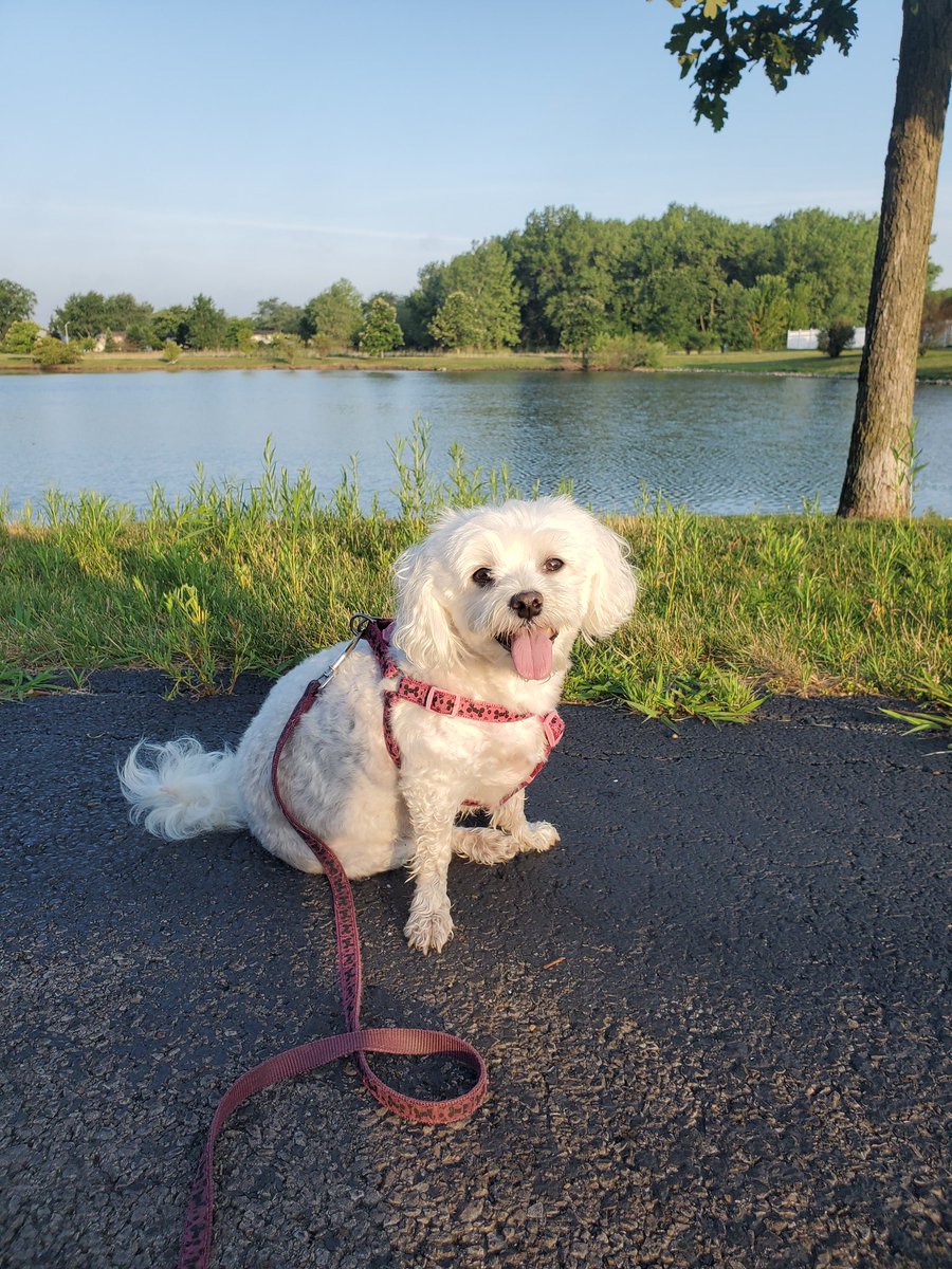 GiGi_OnTheScene's tweet photo. Hey #ZSHQ I'm back!! Remind me, do #zombies like #water because I'm ready to take them DOWN! #mokena https://t.co/eu6uexdhET