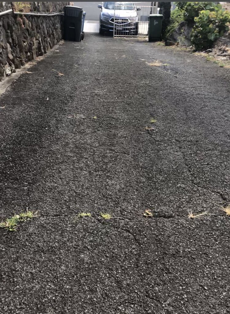 hawaiikaigopher's tweet photo. Your HAWAII KAI GOPHER takes her Seniors’ bins to the curb at no charge to help keep them safe ❣️ https://t.co/UeDuJmFwlQ