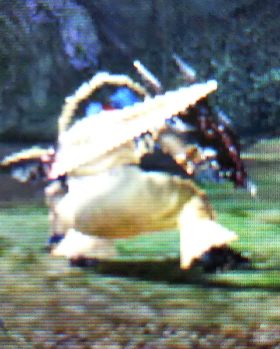 くっしー モンハンダブルクロス Mhxx 夜叉一式完成ー レンキン片手剣にしてみました 尻です 尻