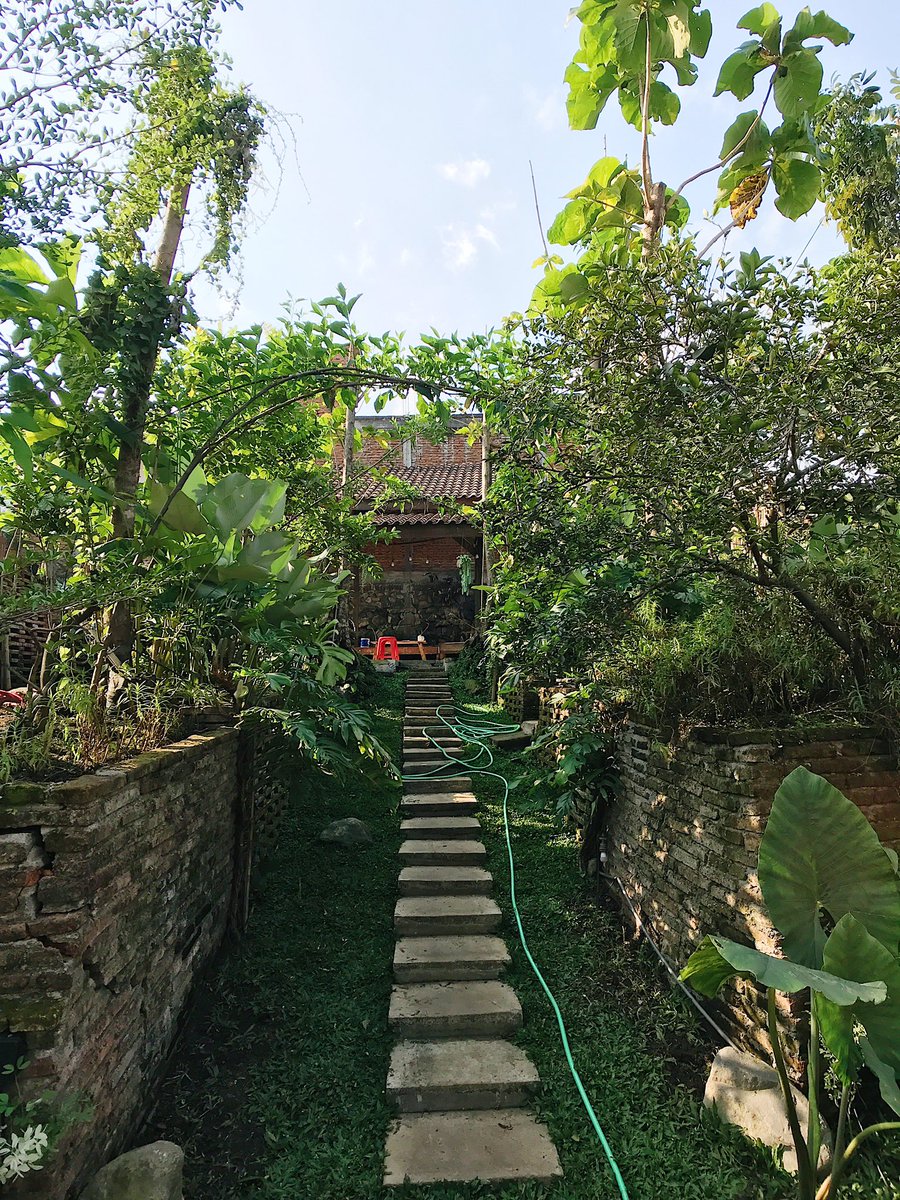 yuwonooktav's tweet photo. Minggu lalu sengaja nyari tempat tersembunyi untuk bersembunyi dari riuh dan penatnya hari.
⠀
Sebuah halaman belakang rumah yg ditanami berbagai hehijauan.
Ademin pandangan, ademin pikiran.
#kulinermalang #pakehape https://t.co/ZEvHUvRcoU