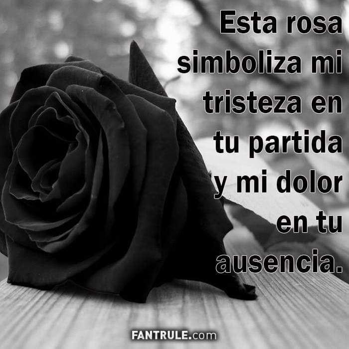 ConsepcionLeal's tweet photo. #NuevaFotoDePerfil https://t.co/0rXGfGzKTL