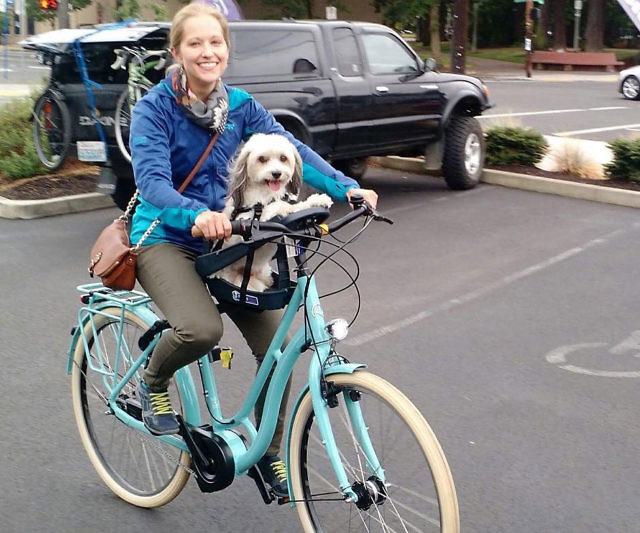 バディライダー Buddyrider 犬用品 | endageism.com
