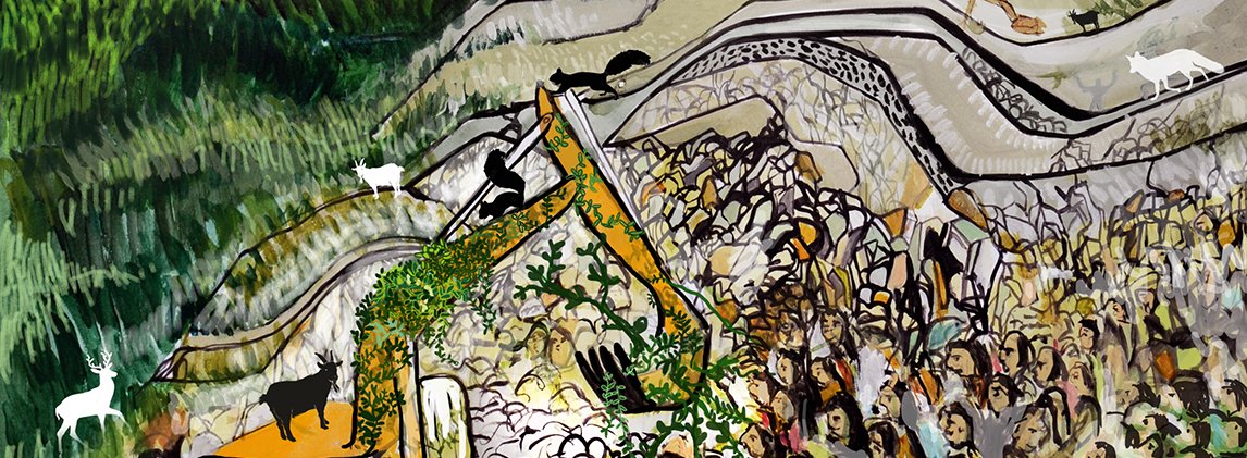 Doğa Network tweet media