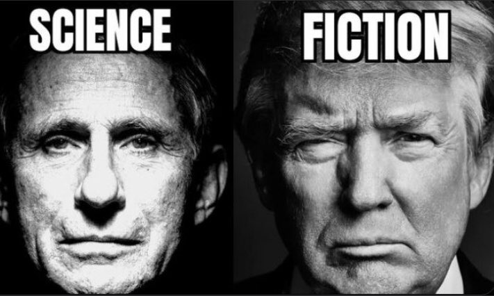 <a href="/realDonaldTrump/">Donald J. Trump</a>