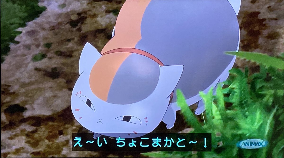 ルーシィ 夏目友人帳 アニマックス うつせみに結ぶ 今夜は 映画が見れて嬉しかったです