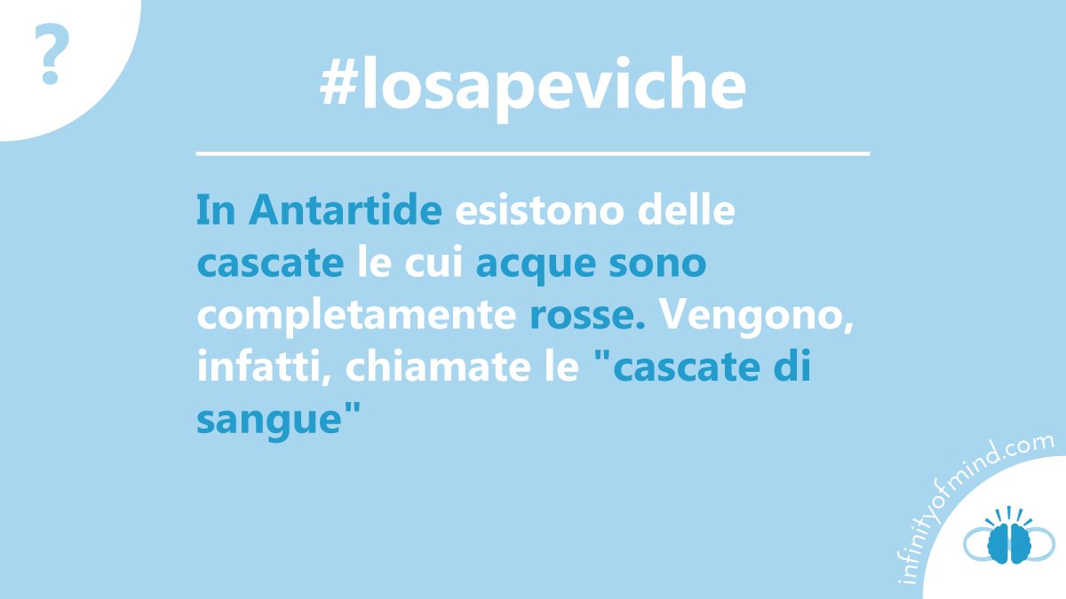 Infinity Of Mind tweet media