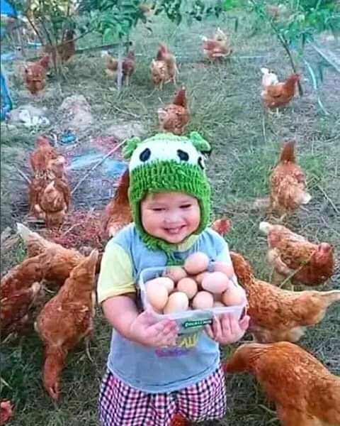 PigeonsCuba's tweet photo. Amanecer feliz este #Domingo 19 de Julio junto a los peques de casa.
#FelizDíaDeLaInfancia https://t.co/Dk7c4mF7R8