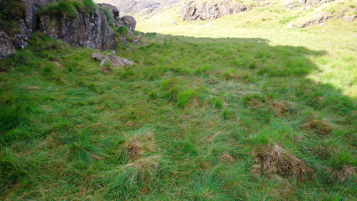 Mounta1n_Mike's tweet photo. First proper #wildcamp since lockdown. Fantastic night with @BeckyRowbo &amp; @SaintToffee89 &amp; Freddie.
Left the site as we found it. #LeaveNoTrace
@glocky9 @keswickbootco @Catstycam @TheLakesMike @ApparelGyow @janslss @blis_sox https://t.co/yRmxSTMqUf