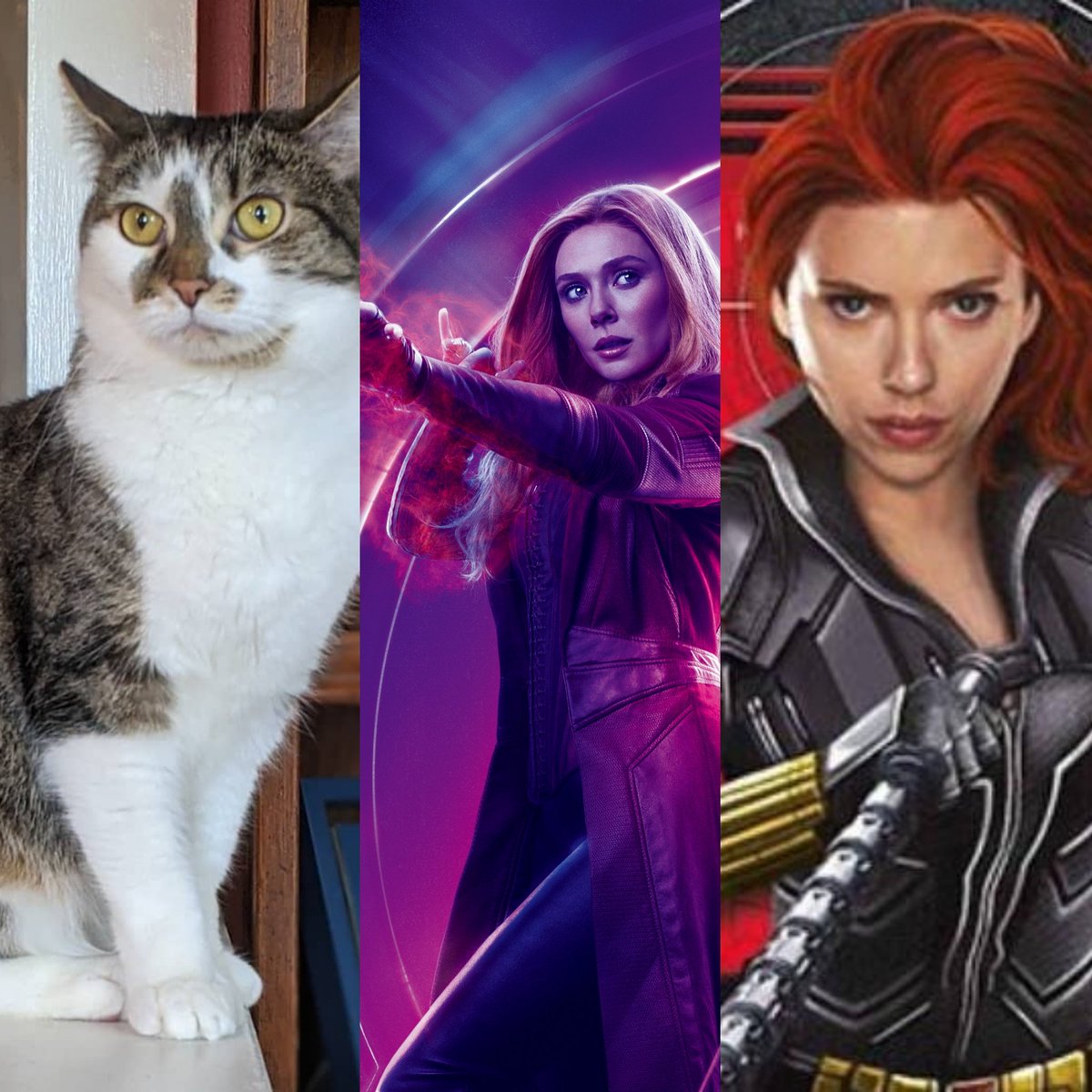 KristinKoko's tweet photo. Wanda Natasha Romanoff Maximoff #wandamaximoff #scarletwitch #WandaVision #natasharomanoff #BlackWidow #Avengers #Marvel #mcu https://t.co/pgdNgxMEPP