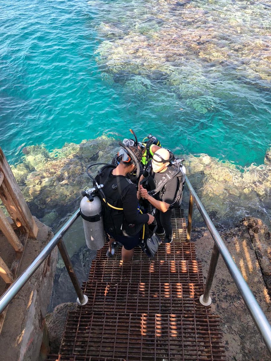 DiverGood's tweet image. 