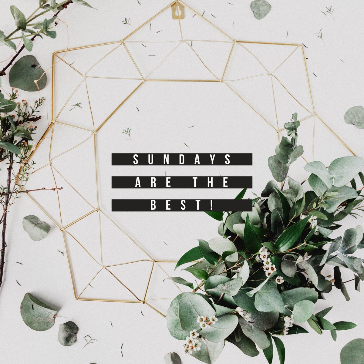 CC_Magnolia's tweet photo. SUNDAYS ARE THE BEST!

Because they start with Jesus. See you at 10 AM. https://t.co/m25uN8P1S2