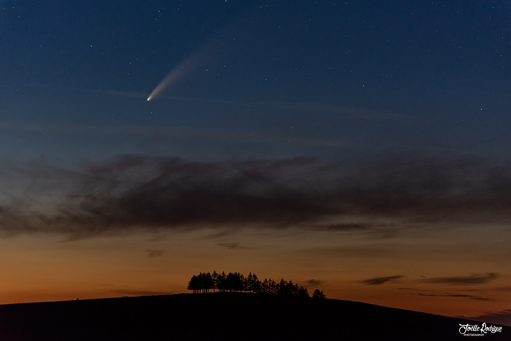 Lozère Tourisme tweet media