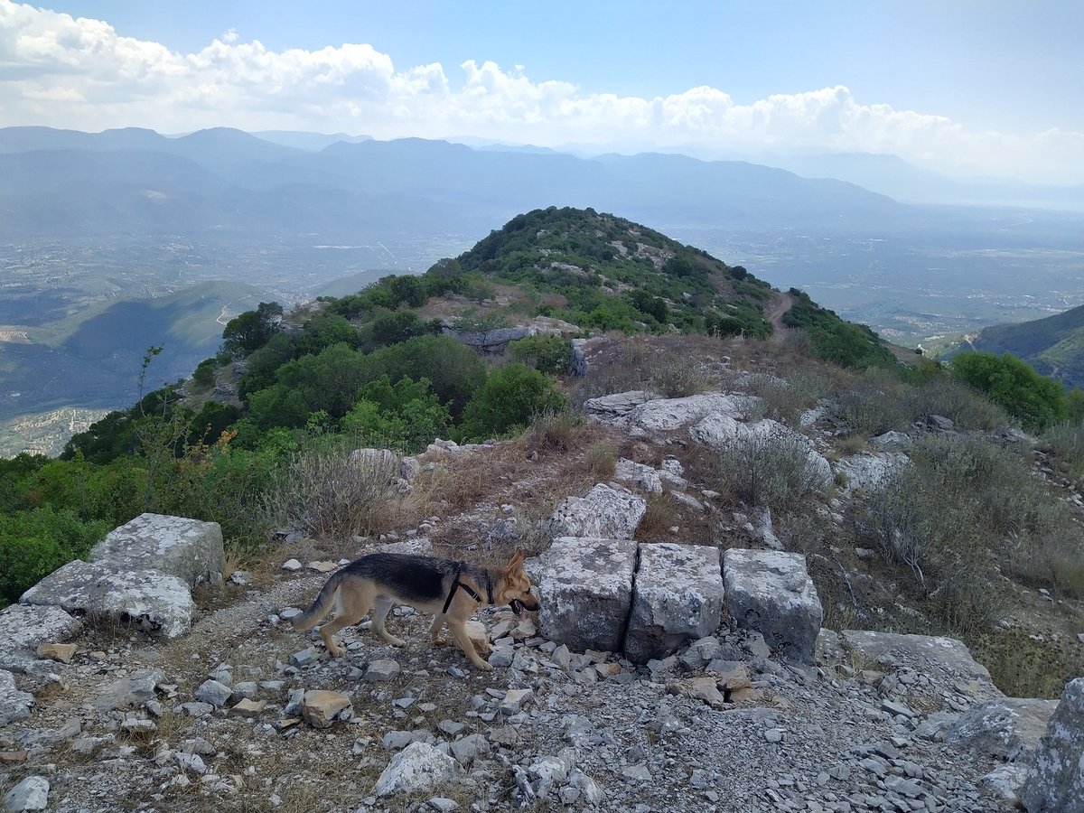 Holidays_in_GR's tweet photo. @biggreekmav You can't photo shop this.... can't make it any better... 🥰 I love it up there ❤️ #ancientmessini https://t.co/Yj6lvYn1ES