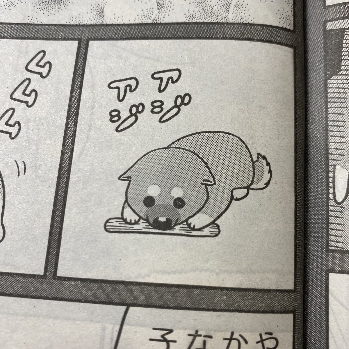 sinamism's tweet photo. ただいま発売中の講談社イブニングで、ムーコがこまつさんと出会ったころの話を描いてます。かわいいのでよろしければチェックよろしくです。 https://t.co/BeuBjrQMlz