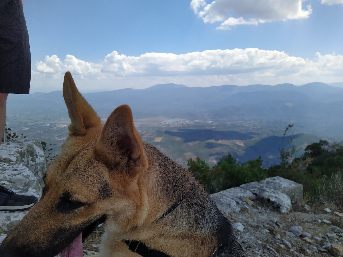 Holidays_in_GR's tweet photo. @biggreekmav You can't photo shop this.... can't make it any better... 🥰 I love it up there ❤️ #ancientmessini https://t.co/Yj6lvYn1ES