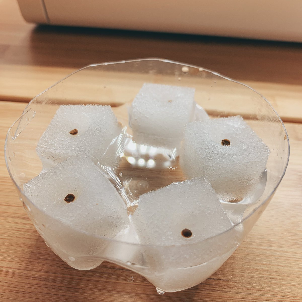 Craftwife's tweet photo. 水耕栽培
DAY12
パクチー発芽する気配なし!
やっぱりタネを割ってから発芽させることに。
栽培チェックポイントのひとつは「発芽」なんだなぁと学んだ
底が五角形のペットボトルは便利
#きょうのワイフテック
#水耕栽培
#楽しい水耕栽培
#ハイポニカ
#やさい物語
#growShare https://t.co/1EfeOSyptY