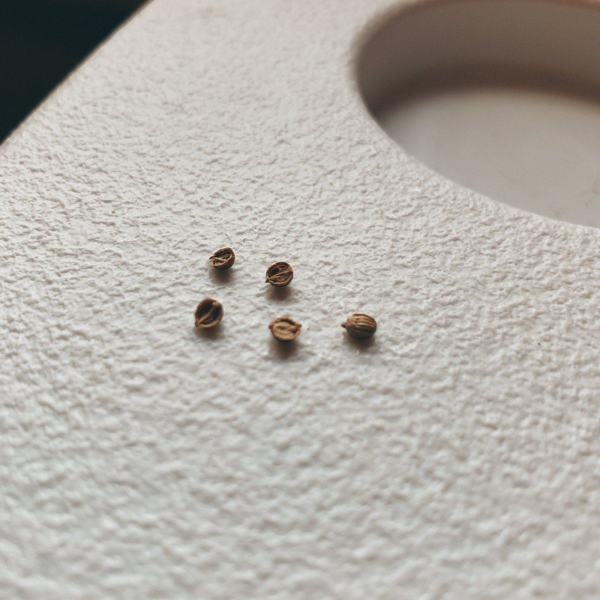 Craftwife's tweet photo. 水耕栽培
DAY12
パクチー発芽する気配なし!
やっぱりタネを割ってから発芽させることに。
栽培チェックポイントのひとつは「発芽」なんだなぁと学んだ
底が五角形のペットボトルは便利
#きょうのワイフテック
#水耕栽培
#楽しい水耕栽培
#ハイポニカ
#やさい物語
#growShare https://t.co/1EfeOSyptY