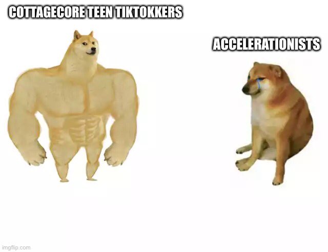 LLUKECH's tweet photo. When I read @noampomsky’s tweet about GPT-3 reviving her accelerationism https://t.co/rR6n4pqCL9