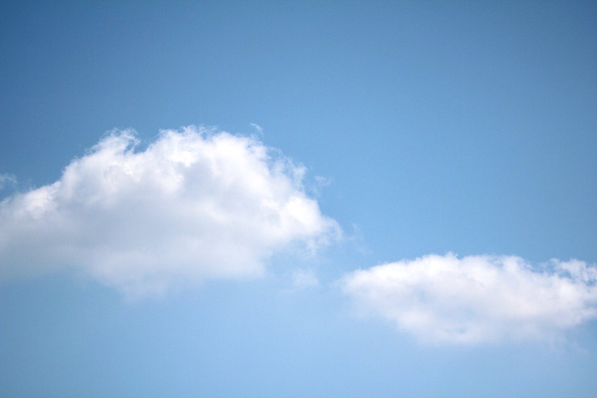 photo_ck's tweet photo. 久しぶりの青空でした
#ファインダー越しの私の世界 
#青空 https://t.co/AaLW9uiEQz